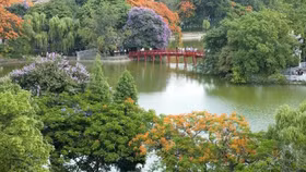 Sức khỏe tốt nhờ không gian sống xanh