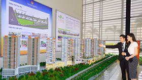 Novaland ồ ạt làm dự án “khủng”, xoay vốn nhờ... "in giấy"?