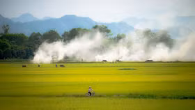 Cảm xúc mùa gặt