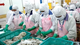 Bộ Công thương sẽ thành lập Cục Phòng vệ thương mại