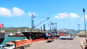 Phó thủ tướng yêu cầu thanh tra cổ phần hóa Cảng Quy Nhơn, ai là cổ đông lớn nhất?