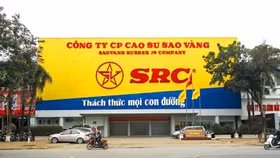 Bí ẩn đại gia Hoành Sơn thâu tóm đất vàng Cao su