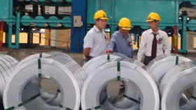 Hoa Sen báo lãi ròng 1.504 tỷ đồng trong năm 2016