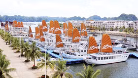 Tập đoàn Tuần Châu thu phí qua cảng du lịch có hợp lý?