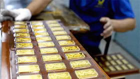 Sau cơn say vàng