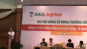 Câu hỏi không lời đáp: "Hoàng Anh Gia Lai còn gì để bán?"