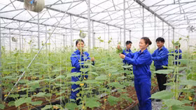 Doanh nghiệp “mừng thầm” vì cơ chế bù trừ lỗ lãi hai chiều