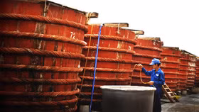 Công bố bộ tiêu chuẩn nước mắm truyền thống