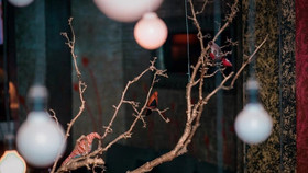 “…Ấy lounge” phòng trà đậm chất bậc nhất Hà thành