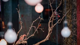 “…Ấy lounge” phòng trà đậm chất bậc nhất Hà thành