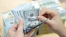 Doanh nghiệp nên chủ động phòng ngừa rủi ro về tỷ giá!