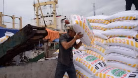 Đề xuất bỏ chế độ cấp Giấy phép nhập khẩu tự động với phân bón