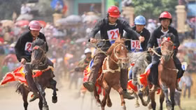 Vĩnh Phúc sẽ có trường đua ngựa 1,5 tỷ USD