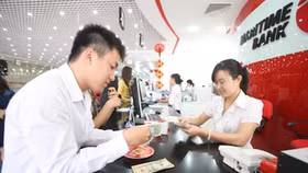 Phác thảo tỷ giá 2017