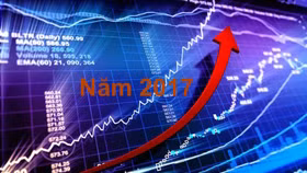 Đầu tư thế nào năm 2017?