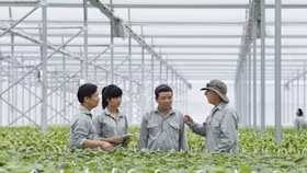 Vingroup liên kết với 1000 Hợp tác xã cung ứng nông sản sạch