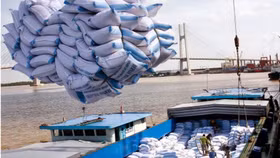 Có thể xuất khẩu gạo vô điều kiện