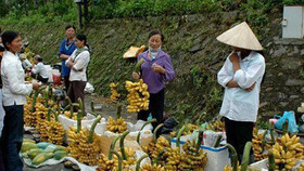 Hàng xách tay... nội địa