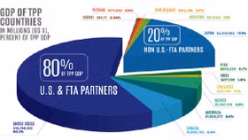 Chủ tịch VCCI: TPP chắc chắn sẽ tiếp tục, đa phương hoặc song phương