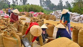 FAO: Giá lương, thực phẩm thế giới tăng cao nhất trong 2 năm