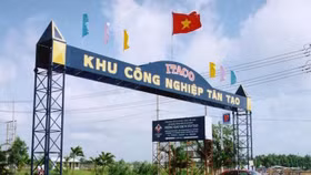 Cảnh giác với các doanh nghiệp có dòng tiền âm