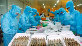 Triển khai thực hiện Hiệp định Tạo thuận lợi thương mại WTO