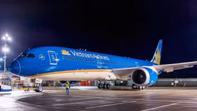 Chim va hỏng động cơ máy bay xịn nhất của Vietnam Airlines