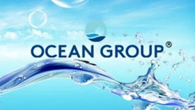 Ocean Group: Lưu ý các khoản nợ, vay nợ và dự phòng nghìn tỷ