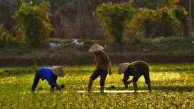 "Một nửa thế giới" trong ảnh Trần Xuân Thiều