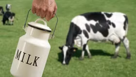 Mập mờ đánh lận “sữa tươi”: Cần Quy chuẩn quốc gia về sữa tươi nguyên liệu