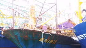 Thủ tướng yêu cầu điều tra làm rõ vụ tàu cá vỏ thép nằm bờ
