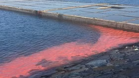 Xuất hiện dải nước đỏ dài 50m ở cảng Vũng Áng