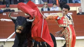 ROS tiếp tục giảm sâu, dòng tiền đổ mạnh vào cổ phiếu bất động sản, chứng khoán