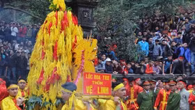 Chuyện hoa tre và lễ hội