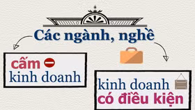 Hơn 5.000 "giấy phép con" và Chính phủ hành động