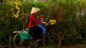 Về quê với Tết