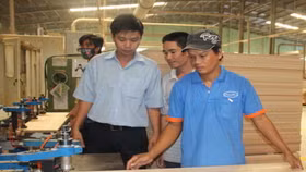 Vì sao Gỗ Trường Thành giảm lỗ tới 350 tỷ đồng sau kiểm toán?