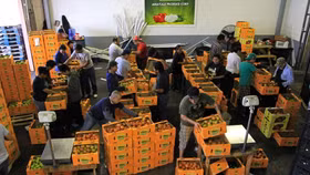 WTO cho phép Mexico áp đặt các biện pháp trả đũa đối với hàng hóa từ Mỹ