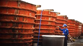 Bộ Y tế: Không có nước mắm nhiễm thạch tín