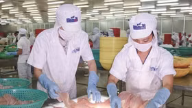 Cổ phiếu “nóng” mùa Tết: Chuyện của LHG và HVG