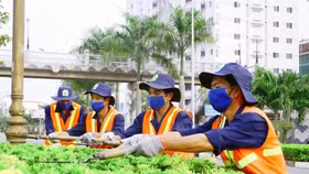 Thứ trưởng Bộ Lao động quả quyết phải tăng tuổi hưu