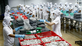 Nhiều doanh nghiệp xuất khẩu thủy sản bị lừa hàng trăm nghìn USD