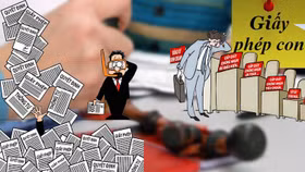 Mạnh tay triệt giấy phép con