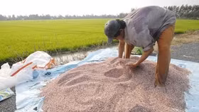 Miễn thuế VAT cho doanh nghiệp phân bón: Lợi bất cập hại