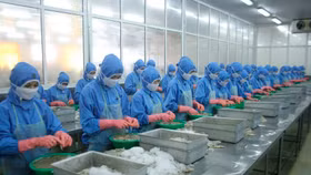 Mỹ tăng thuế chống bán phá giá đối với tôm Việt Nam