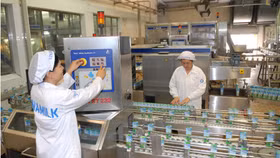 Chống lợi ích nhóm: Cổ phiếu Vinamilk được bán theo hình thức nào?