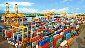 "Cần tính toán tác động của kết quả bầu cử Mỹ khi điều hành kinh tế"