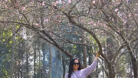 Ngỡ ngàng vẻ đẹp “thành phố trên mây” Fansipan