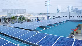Doanh nghiệp tự cứu mình bằng điện mặt trời mái nhà