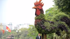 Hà Nội lần đầu có 12 con giáp khổng lồ bằng hoa lập thể